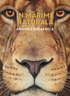 Animale din Africa