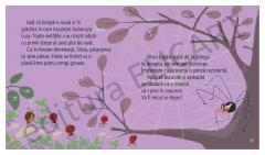 Un paianjen foarte priceput