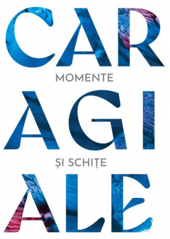 Momente si schite