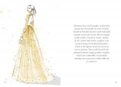The Gown