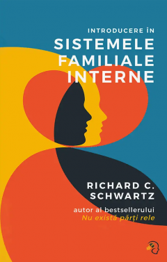 Introducere in Sistemele Familiale Interne