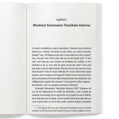 Introducere in Sistemele Familiale Interne