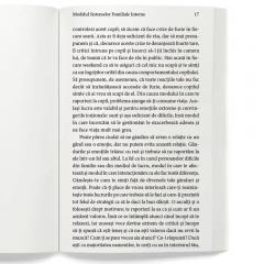 Introducere in Sistemele Familiale Interne
