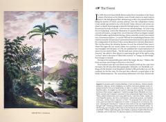 The Art of Biodiversity