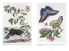 The Art of Biodiversity