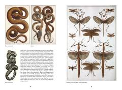 The Art of Biodiversity