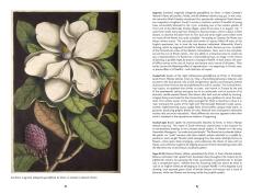 The Art of Biodiversity