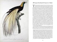 The Art of Biodiversity