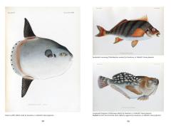 The Art of Biodiversity