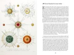 The Art of Biodiversity