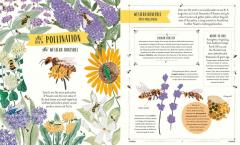 Buzz