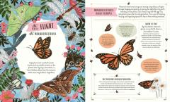 Buzz