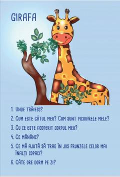 Cuvinte jucause