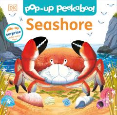 Seashore