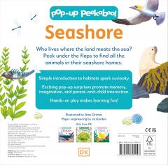 Seashore
