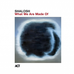 What We Are Made Of - Vinyl