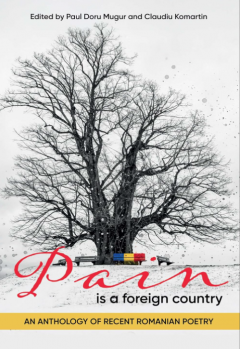 Pain Is a Foreign Country