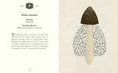 The Curator's Collection: An A to Z of Fungi