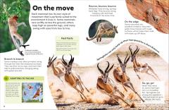 Eyewonder Mammals
