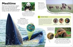 Eyewonder Mammals