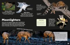 Eyewonder Mammals
