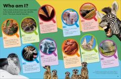 Eyewonder Mammals