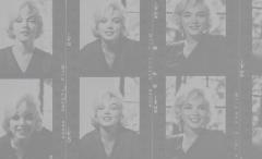 Marilyn: The Lost Photographs, the Last Interview