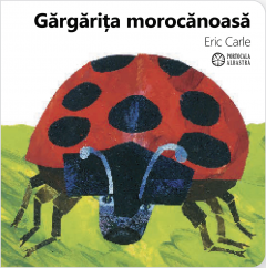 Gargarita morocanoasa