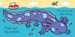 That's not my axolotl...