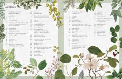 The Kew Gardener's Guide to Growing Trees