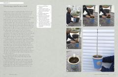 The Kew Gardener's Guide to Growing Trees