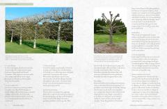 The Kew Gardener's Guide to Growing Trees