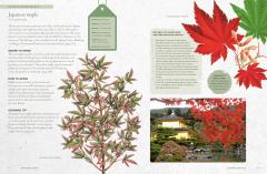 The Kew Gardener's Guide to Growing Trees