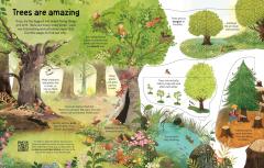 See Inside Trees