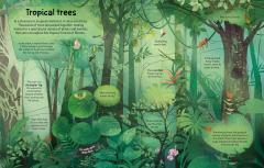 See Inside Trees