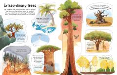 See Inside Trees