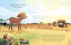 A Buffalo Named Brave