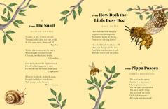 A Year of Animal Poems