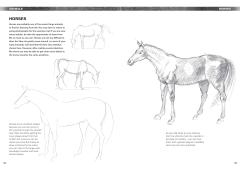 The Complete Guide to Drawing