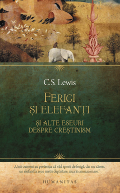 Ferigi si elefanti