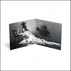 Superbloom - Vinyl