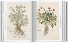 Leonhart Fuchs.The New Herbal