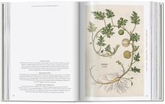 Leonhart Fuchs.The New Herbal