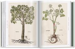 Leonhart Fuchs.The New Herbal