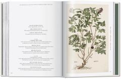 Leonhart Fuchs.The New Herbal