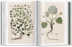 Leonhart Fuchs.The New Herbal