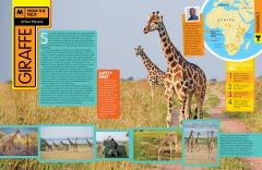 Animal Encyclopedia