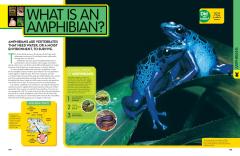 Animal Encyclopedia