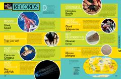 Animal Encyclopedia