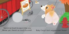 Baby Corgi Butt